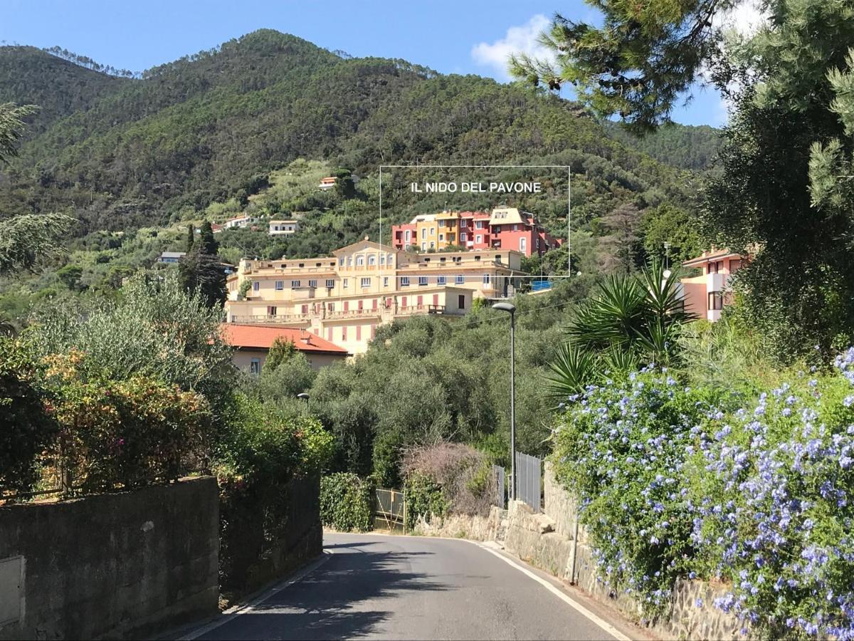 Il Nido Del Pavone Apartment Monterosso al Mare Luaran gambar